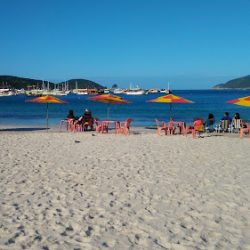 Aterrizar Viajes Vcp - Sucursal Alberdi
