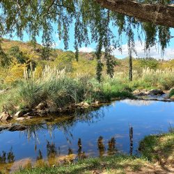 Balneario Los Chorrillos