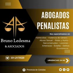 Bruno Ledesma & Fernando Martinez Paz - Abogados Penalistas (Abogados en Merlo San Luis)