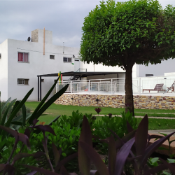 Cabañas Alina (Cabañas en Merlo San Luis)