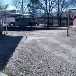 Camping - Pileta Los Pinos (Campings en Merlo San Luis)
