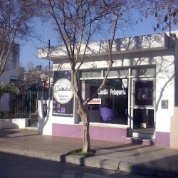 Claudia Peluquería Unisex (Peluquerías en Merlo San Luis)
