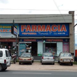 Farmacia Fernanda Ii (Farmacias en Merlo San Luis)