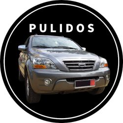Fénix Lavadero & Estética Vehícular (Lavadero de autos en Merlo San Luis)
