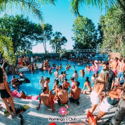 Flamingo’s Club (Discotecas en Merlo San Luis)