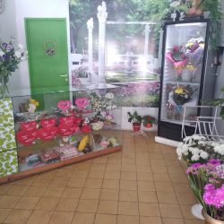 Floreria Aranjuez (Florerías en Merlo San Luis)