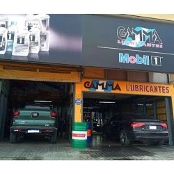 Gamma Lubricantes