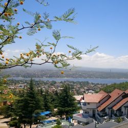 Inmobiliaria. Leylén Aguirre (Inmobiliarias en Merlo San Luis)