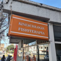 Kinesiología Y Fisioterapia