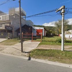 La Jungla