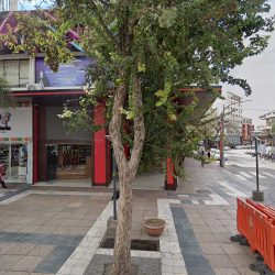 La Quinta (Cafeterías en Merlo San Luis)