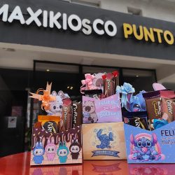 Maxi Kiosco Punto G (Kioscos en Merlo San Luis)