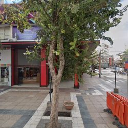 Moral Inmobiliaria (Inmobiliarias en Merlo San Luis)