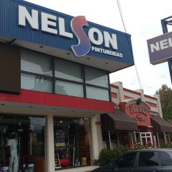 Nelson Pintureria (Pinturerías en Merlo San Luis)