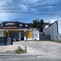 Ofelia (Verdulerías en Merlo San Luis)