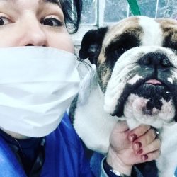 Pelu Canina Yordy (Barberías en Merlo San Luis)