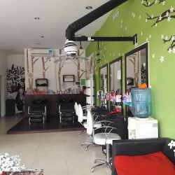Peluquería Peluking/Laura Foglia (Barberías en Merlo San Luis)