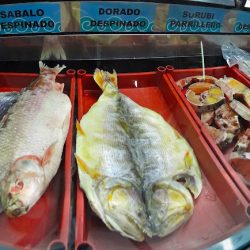 Pescadería Mar Del Sur (Pescaderías en Merlo San Luis)