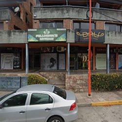 Wellmss Travel (Agencias de viajes en Merlo San Luis)